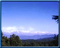 Natural Scenes Of Ranikhet, The Queen's Field, Ranikhet Tourism