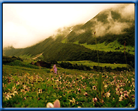 Valleys Of Flowers, Uttaranchal Tour